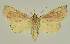  ( - BC EF Lep 02501)  @13 [ ] Copyright (2010) Unspecified Research Collection of Egbert Friedrich