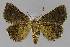  ( - BC EF Lep 00004)  @13 [ ] Copyright (2010) Unspecified Research Collection of Egbert Friedrich