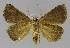  ( - BC EF Lep 00005)  @13 [ ] Copyright (2010) Unspecified Research Collection of Egbert Friedrich