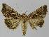  ( - BC EF Lep 00169)  @13 [ ] Copyright (2010) Unspecified Research Collection of Egbert Friedrich