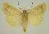  ( - BC EF Lep 03114)  @14 [ ] Copyright (2010) Unspecified Research Collection of Egbert Friedrich