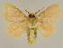  ( - BC EF Lep 03300)  @13 [ ] Copyright (2010) Unspecified Research Collection of Egbert Friedrich