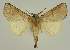  ( - BC EF Lep 03401)  @13 [ ] Copyright (2010) Unspecified Research Collection of Egbert Friedrich