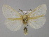  ( - BC ZSM Lep 30449)  @14 [ ] CreativeCommons - Attribution Non-Commercial Share-Alike (2010) Unspecified SNSB, Zoologische Staatssammlung Muenchen