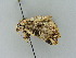  ( - BC ZSM Lep 34761)  @11 [ ] CreativeCommons - Attribution Non-Commercial Share-Alike (2010) Unspecified SNSB, Zoologische Staatssammlung Muenchen