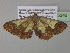  ( - BC ZSM Lep 35346)  @14 [ ] CreativeCommons - Attribution Non-Commercial Share-Alike (2010) Unspecified SNSB, Zoologische Staatssammlung Muenchen