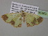  ( - BC ZSM Lep 35355)  @13 [ ] CreativeCommons - Attribution Non-Commercial Share-Alike (2010) Unspecified SNSB, Zoologische Staatssammlung Muenchen