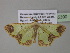  ( - BC ZSM Lep 35390)  @14 [ ] CreativeCommons - Attribution Non-Commercial Share-Alike (2010) Unspecified SNSB, Zoologische Staatssammlung Muenchen