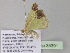  ( - BC ZSM Lep 35391)  @13 [ ] CreativeCommons - Attribution Non-Commercial Share-Alike (2010) Unspecified SNSB, Zoologische Staatssammlung Muenchen