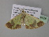  ( - BC ZSM Lep 35428)  @13 [ ] CreativeCommons - Attribution Non-Commercial Share-Alike (2010) Unspecified SNSB, Zoologische Staatssammlung Muenchen