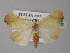  ( - BC ZSM Lep 31052)  @14 [ ] CreativeCommons - Attribution Non-Commercial Share-Alike (2010) Unspecified SNSB, Zoologische Staatssammlung Muenchen