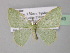  ( - BC ZSM Lep 32493)  @14 [ ] CreativeCommons - Attribution Non-Commercial Share-Alike (2010) Unspecified SNSB, Zoologische Staatssammlung Muenchen