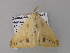  ( - BC ZSM Lep 33167)  @13 [ ] CreativeCommons - Attribution Non-Commercial Share-Alike (2010) Unspecified SNSB, Zoologische Staatssammlung Muenchen