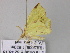  ( - BC ZSM Lep 33169)  @12 [ ] CreativeCommons - Attribution Non-Commercial Share-Alike (2010) Unspecified SNSB, Zoologische Staatssammlung Muenchen
