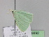  ( - BC ZSM Lep 29892)  @13 [ ] CreativeCommons - Attribution Non-Commercial Share-Alike (2010) Unspecified SNSB, Zoologische Staatssammlung Muenchen
