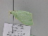  ( - BC ZSM Lep 29894)  @12 [ ] CreativeCommons - Attribution Non-Commercial Share-Alike (2010) Unspecified SNSB, Zoologische Staatssammlung Muenchen