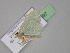 ( - BC ZSM Lep 29897)  @12 [ ] CreativeCommons - Attribution Non-Commercial Share-Alike (2010) Unspecified SNSB, Zoologische Staatssammlung Muenchen