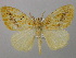  ( - BC ZSM Lep 32842)  @14 [ ] CreativeCommons - Attribution Non-Commercial Share-Alike (2010) Unspecified SNSB, Zoologische Staatssammlung Muenchen