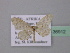  (Idaea consericeata - BC ZSM Lep 36912)  @13 [ ] CreativeCommons - Attribution Non-Commercial Share-Alike (2010) Unspecified SNSB, Zoologische Staatssammlung Muenchen