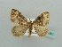  ( - BC ZSM Lep 41501)  @13 [ ] CreativeCommons - Attribution Non-Commercial Share-Alike (2010) Unspecified SNSB, Zoologische Staatssammlung Muenchen