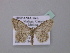  ( - BC ZSM Lep 41548)  @14 [ ] CreativeCommons - Attribution Non-Commercial Share-Alike (2010) Unspecified SNSB, Zoologische Staatssammlung Muenchen