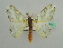  ( - BC ZSM Lep 42714)  @14 [ ] CreativeCommons - Attribution Non-Commercial Share-Alike (2010) Axel Hausmann/Bavarian State Collection of Zoology (ZSM) SNSB, Zoologische Staatssammlung Muenchen