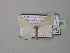  ( - BC ZSM Lep 42929)  @13 [ ] CreativeCommons - Attribution Non-Commercial Share-Alike (2010) Axel Hausmann/Bavarian State Collection of Zoology (ZSM) SNSB, Zoologische Staatssammlung Muenchen