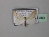  ( - BC ZSM Lep 42931)  @13 [ ] CreativeCommons - Attribution Non-Commercial Share-Alike (2010) Axel Hausmann/Bavarian State Collection of Zoology (ZSM) SNSB, Zoologische Staatssammlung Muenchen