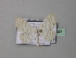  ( - BC ZSM Lep 42943)  @13 [ ] CreativeCommons - Attribution Non-Commercial Share-Alike (2010) Axel Hausmann/Bavarian State Collection of Zoology (ZSM) SNSB, Zoologische Staatssammlung Muenchen