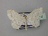  (Scopula HS15SA - BC ZSM Lep 42970)  @13 [ ] CreativeCommons - Attribution Non-Commercial Share-Alike (2010) Axel Hausmann/Bavarian State Collection of Zoology (ZSM) SNSB, Zoologische Staatssammlung Muenchen