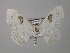  (Problepsis HS01SA - BC ZSM Lep 43042)  @12 [ ] CreativeCommons - Attribution Non-Commercial Share-Alike (2010) Axel Hausmann/Bavarian State Collection of Zoology (ZSM) SNSB, Zoologische Staatssammlung Muenchen