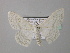  ( - BC ZSM Lep 43055)  @13 [ ] CreativeCommons - Attribution Non-Commercial Share-Alike (2010) Axel Hausmann/Bavarian State Collection of Zoology (ZSM) SNSB, Zoologische Staatssammlung Muenchen