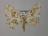  ( - BC ZSM Lep 43058)  @13 [ ] CreativeCommons - Attribution Non-Commercial Share-Alike (2010) Axel Hausmann/Bavarian State Collection of Zoology (ZSM) SNSB, Zoologische Staatssammlung Muenchen