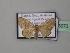  ( - BC ZSM Lep 43073)  @13 [ ] CreativeCommons - Attribution Non-Commercial Share-Alike (2010) Axel Hausmann/Bavarian State Collection of Zoology (ZSM) SNSB, Zoologische Staatssammlung Muenchen