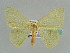  ( - BC ZSM Lep 41230)  @13 [ ] CreativeCommons - Attribution Non-Commercial Share-Alike (2010) Axel Hausmann/Bavarian State Collection of Zoology (ZSM) SNSB, Zoologische Staatssammlung Muenchen