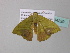 ( - BC ZSM Lep 34229)  @12 [ ] CreativeCommons - Attribution Non-Commercial Share-Alike (2010) Axel Hausmann/Bavarian State Collection of Zoology (ZSM) SNSB, Zoologische Staatssammlung Muenchen