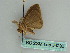  ( - BC ZSM Lep 36292)  @11 [ ] CreativeCommons - Attribution Non-Commercial Share-Alike (2010) Axel Hausmann/Bavarian State Collection of Zoology (ZSM) SNSB, Zoologische Staatssammlung Muenchen