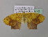  ( - BC ZSM Lep 37082)  @13 [ ] CreativeCommons - Attribution Non-Commercial Share-Alike (2010) Axel Hausmann/Bavarian State Collection of Zoology (ZSM) SNSB, Zoologische Staatssammlung Muenchen
