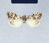  (Nola cana - BC ZSM Lep 41635)  @12 [ ] CreativeCommons - Attribution Non-Commercial Share-Alike (2010) Axel Hausmann/Bavarian State Collection of Zoology (ZSM) SNSB, Zoologische Staatssammlung Muenchen