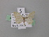  ( - BC ZSM Lep 46973)  @12 [ ] CreativeCommons - Attribution Non-Commercial Share-Alike (2010) Axel Hausmann/Bavarian State Collection of Zoology (ZSM) SNSB, Zoologische Staatssammlung Muenchen