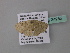  (Scopula AH01GhCa - BC ZSM Lep 34255)  @13 [ ] CreativeCommons - Attribution Non-Commercial Share-Alike (2010) Axel Hausmann/Bavarian State Collection of Zoology (ZSM) SNSB, Zoologische Staatssammlung Muenchen