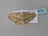  ( - BC ZSM Lep 34301)  @12 [ ] CreativeCommons - Attribution Non-Commercial Share-Alike (2010) Axel Hausmann/Bavarian State Collection of Zoology (ZSM) SNSB, Zoologische Staatssammlung Muenchen