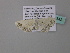  ( - BC ZSM Lep 34342)  @12 [ ] CreativeCommons - Attribution Non-Commercial Share-Alike (2010) Axel Hausmann/Bavarian State Collection of Zoology (ZSM) SNSB, Zoologische Staatssammlung Muenchen
