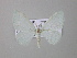 (Trimetopia aetherariaAH01Tz - BC ZSM Lep 47022)  @12 [ ] CreativeCommons - Attribution Non-Commercial Share-Alike (2010) Axel Hausmann/Bavarian State Collection of Zoology (ZSM) SNSB, Zoologische Staatssammlung Muenchen
