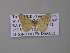  (Idaea AH03Tz - BC ZSM Lep 42202)  @13 [ ] CreativeCommons - Attribution Non-Commercial Share-Alike (2010) Axel Hausmann/Bavarian State Collection of Zoology (ZSM) SNSB, Zoologische Staatssammlung Muenchen