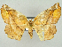  ( - RCIM 0014)  @14 [ ] Copyright (2010) Iva Mihoci Croatian Natural History Museum