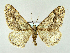  ( - RCIM 0025)  @13 [ ] Copyright (2010) Iva Mihoci Croatian Natural History Museum