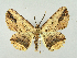  ( - RCIM 0029)  @14 [ ] Copyright (2010) Iva Mihoci Croatian Natural History Museum