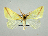  ( - RCIM 0087)  @14 [ ] Copyright (2010) Iva Mihoci Croatian Natural History Museum