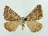  ( - RCIM 0091)  @13 [ ] Copyright (2010) Iva Mihoci Croatian Natural History Museum